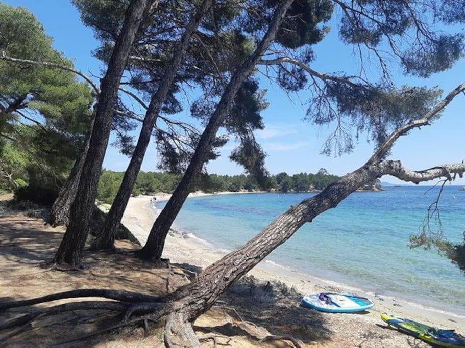 Studio Cabine Climatise 800 M De La Plage Et Des Commerces Борм-ле-Мимоза Экстерьер фото