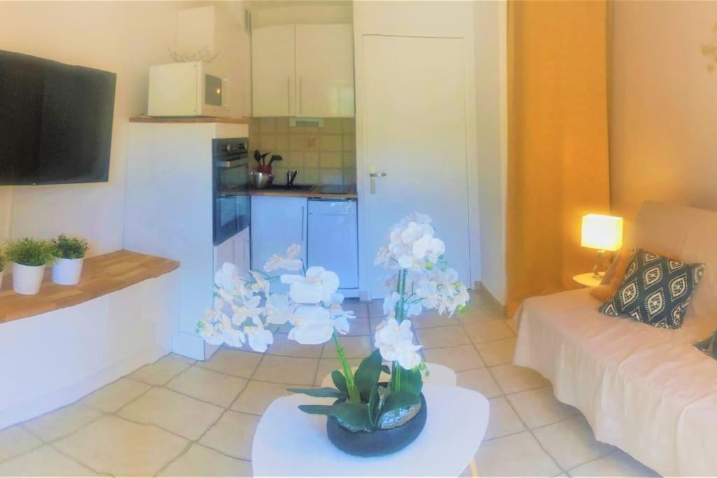 Studio Cabine Climatise 800 M De La Plage Et Des Commerces Борм-ле-Мимоза Экстерьер фото